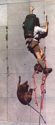 climber [Class-5 Mountaineering Equipage]